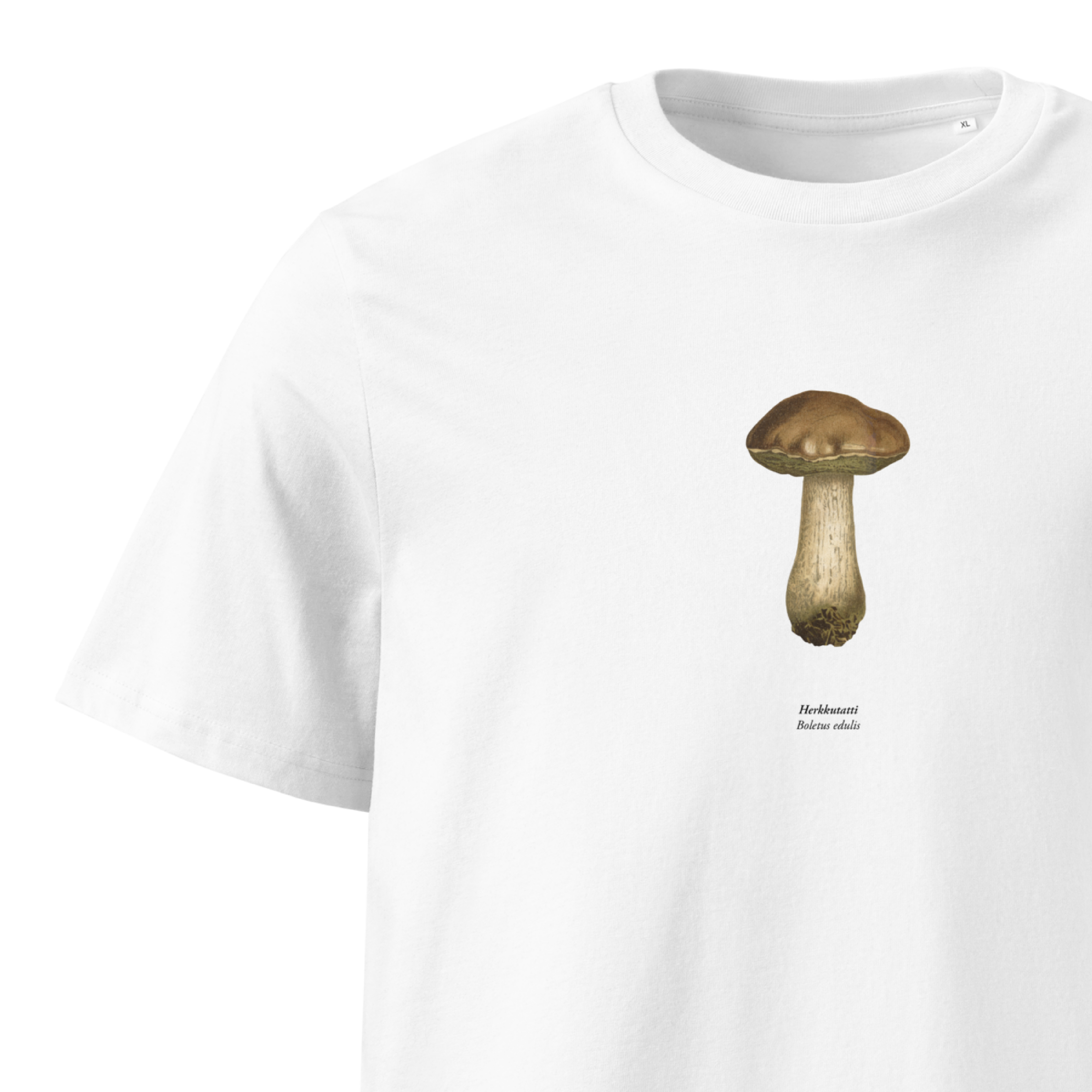 Herkkutatti,Boletus edulis