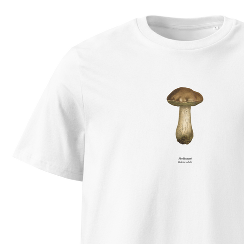 Herkkutatti,Boletus edulis