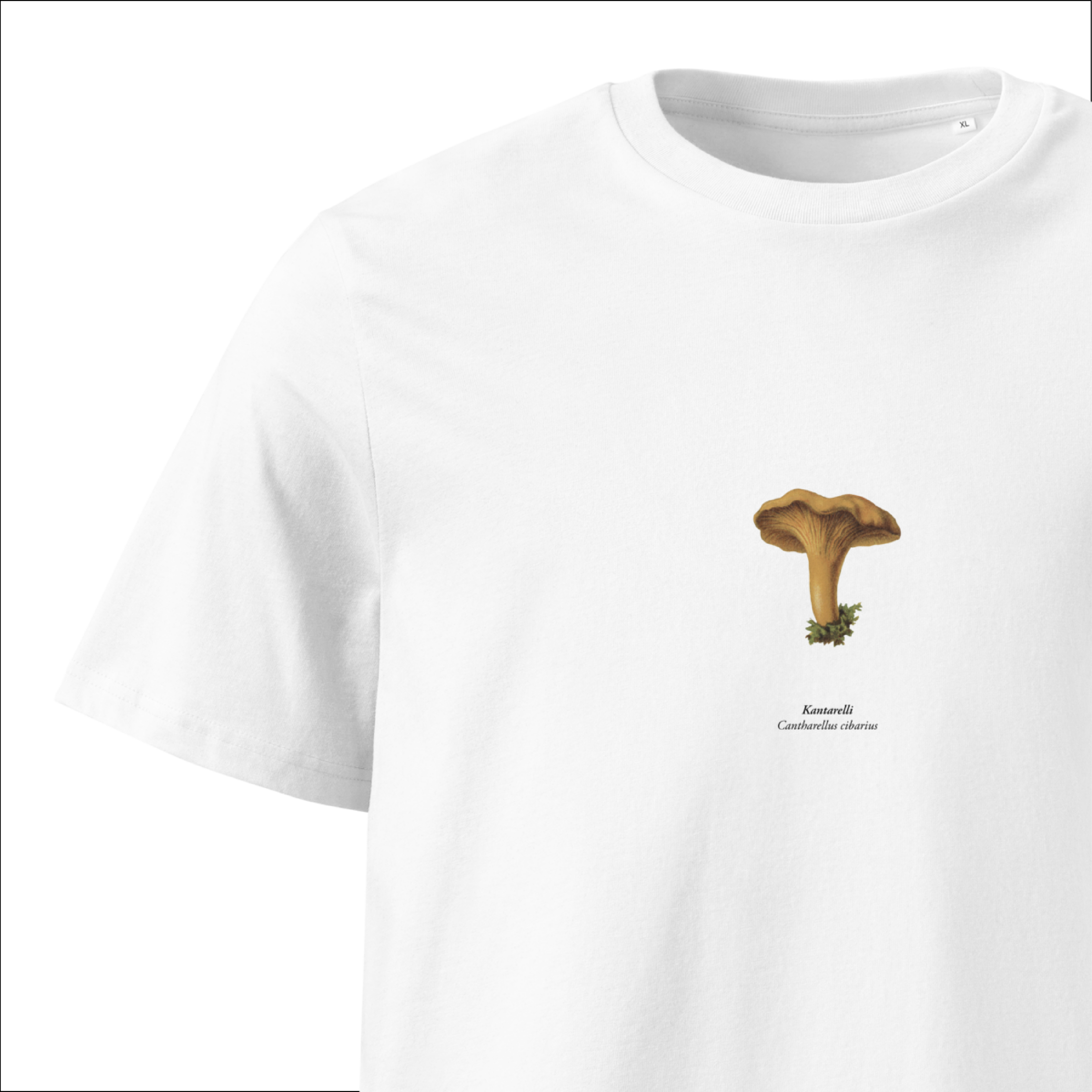 Kantarelli, Cantharellus cibarius