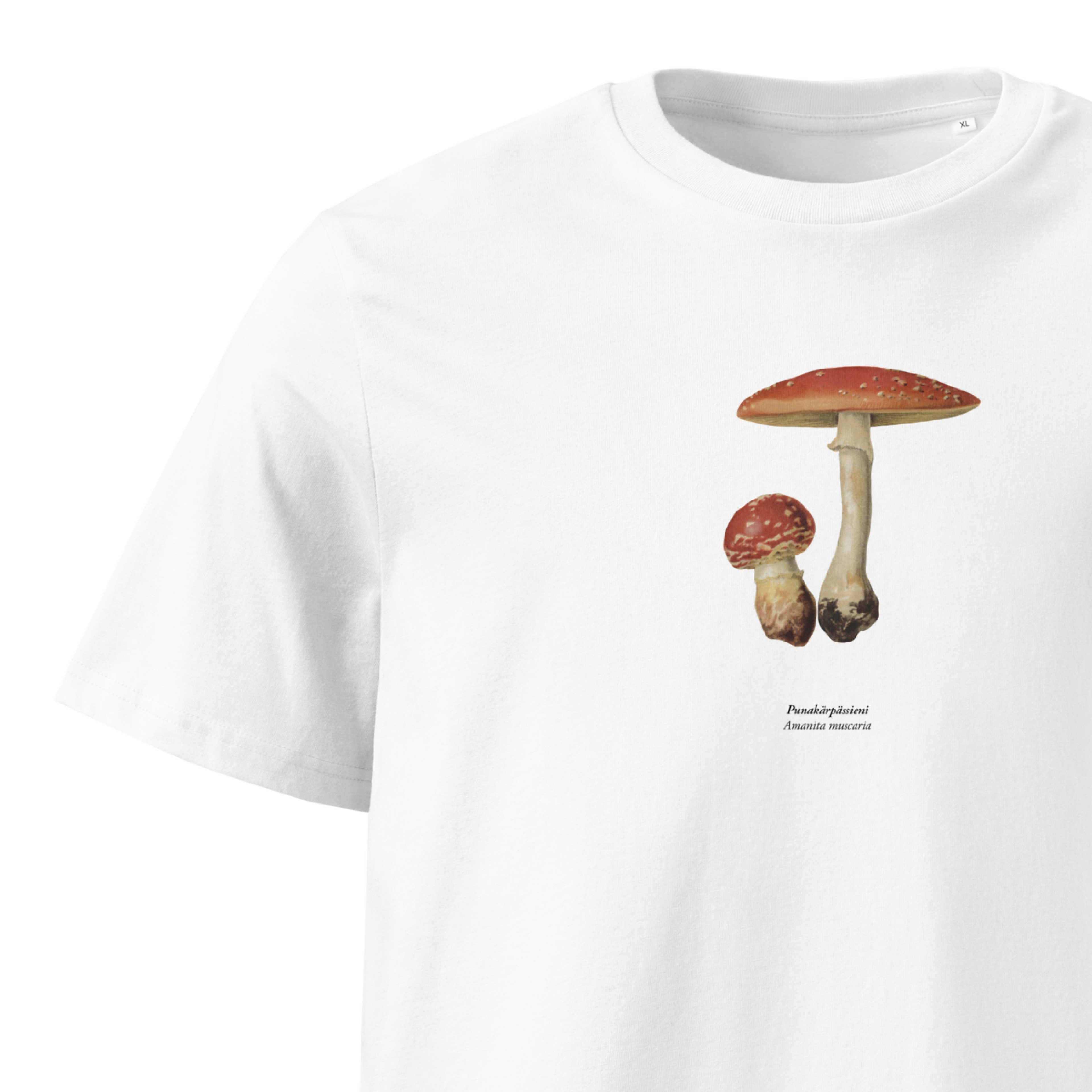 Punakärpässieni, Amanita muscaria