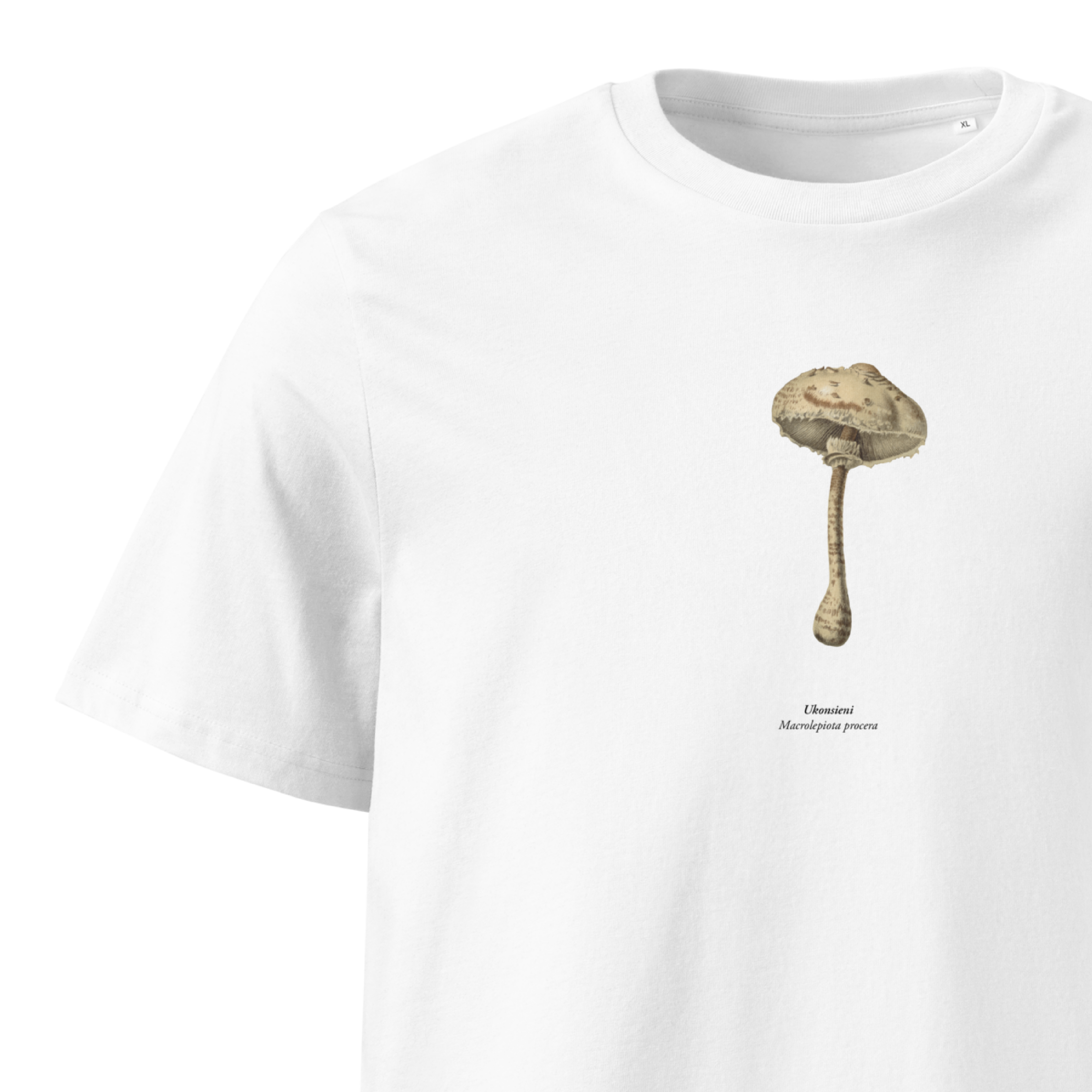 Ukonsieni, Macrolepiota procera